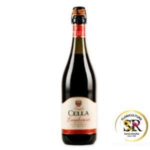 🍷 Vinho Espumante Lambrusco 🍷