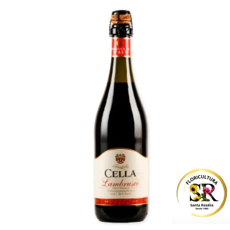 🍷 Vinho Espumante Lambrusco 🍷