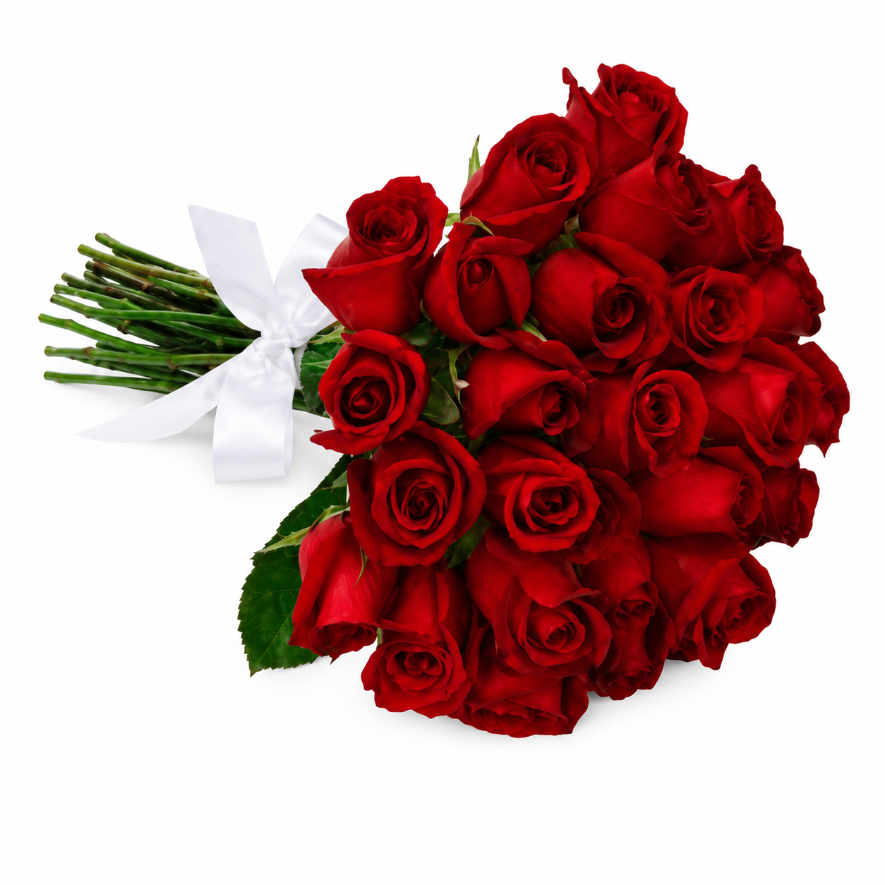Buquê de 24 Rosas Vermelhas