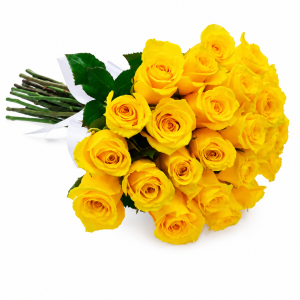 Buquê de 24 Rosas Amarelas – Alegria em Cada Pétala