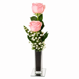 Arranjo de 02 Rosas no Vaso - Singelo