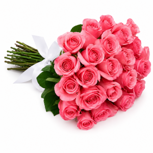 Buquê de 24 Rosas Cor-de-Rosa – Amor e Delicadeza