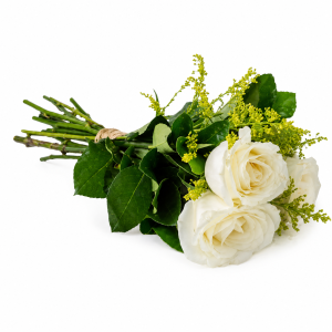 Buquê de 3 Rosas Brancas – Pureza e Carinho