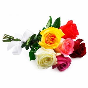 Buquê de 6 Rosas Mistas – Pequenos Gestos, Grandes Emoções
