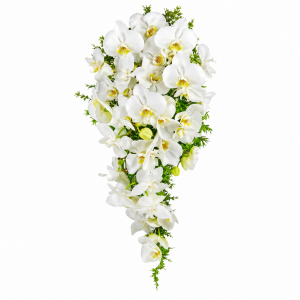 Buquê de Noivas Cascata de Orquídeas Phalaenopsis